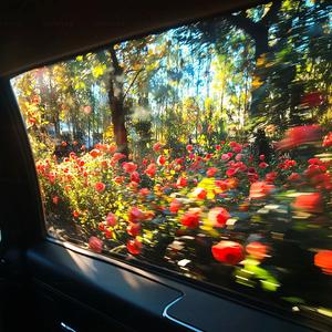 世界上的另一个我