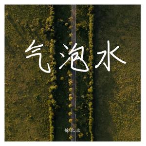气泡水