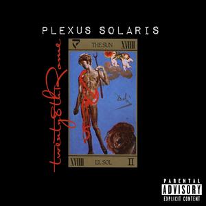 Plexus Solaris