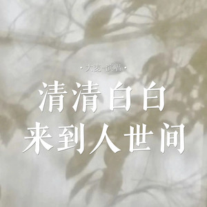 清清白白来到人世间
