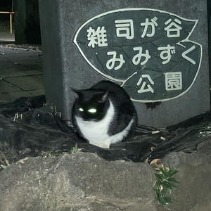 16akelVs8H (Prod. 후드 hood)