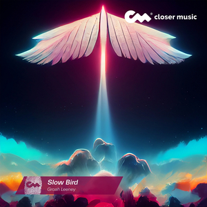 Slow Bird (Instrumental)