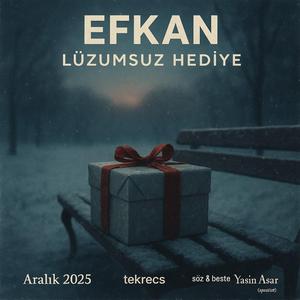 Lüzumsuz Hediye