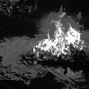 所以晚安，杨老板