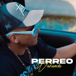 Perreo Wakanda