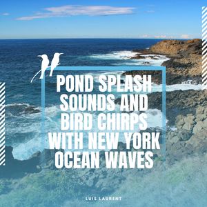 Happy Birds at New York Pond