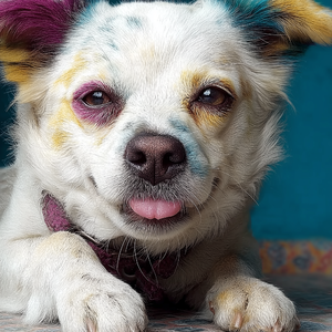 激情荡漾的岁月