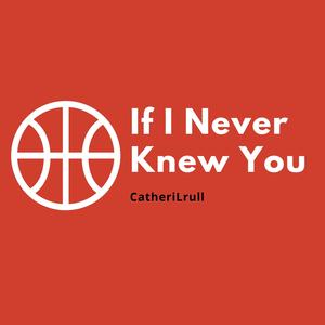 If I Never Knew You