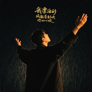 我漂泊的风能否吹到你的心坎