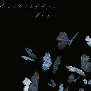 Butterfly.Fly