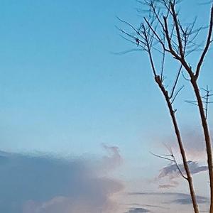 云层（prod.by Morrow）