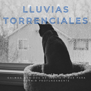 Sentimientos Relajantes