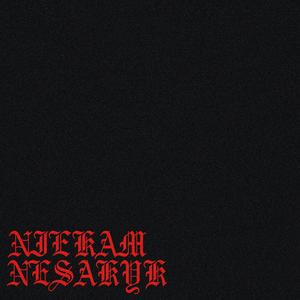 NIEKAM NESAKYK (feat. Proflame)