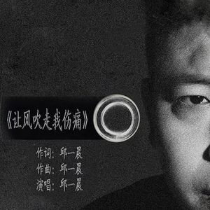 让风吹走我伤痛 (2.0xDJ版)