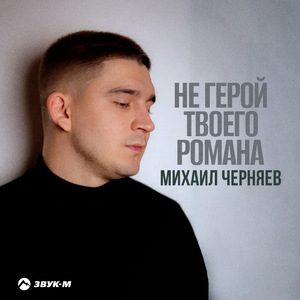 Не герой твоего романа