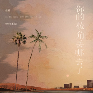 你的棱角丢去哪了 (DJ阿本版)