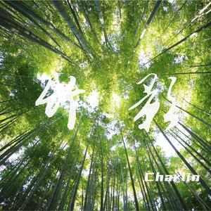 竹影（Bamboo Shadow）