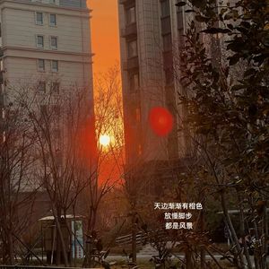 没有故事