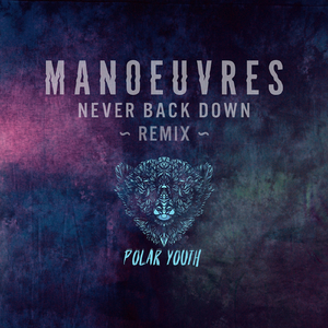 Never Back Down (Polar Youth Remix)