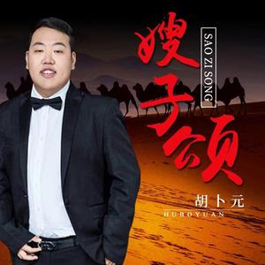 嫂子颂（伴奏）