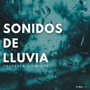Salpicaduras De La Lluvia