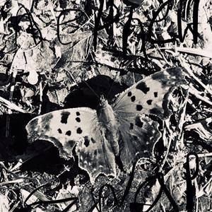 Gelfling Stu (feat. Matt Fairview)