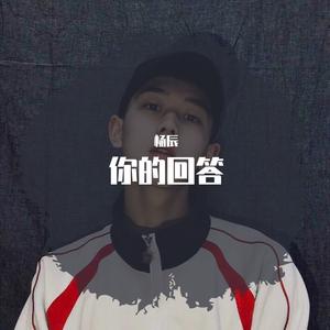 平平淡淡简单的幸福(DJ杨辰版)