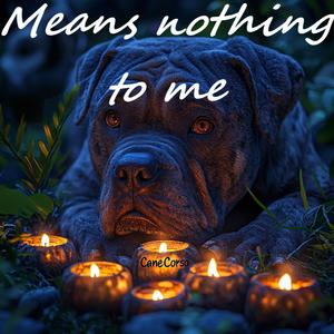Means nothing to me