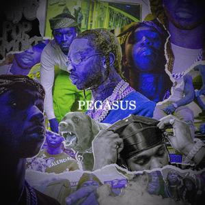 Pegasus