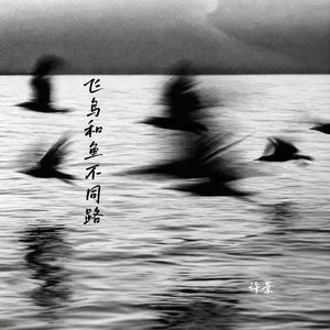 飞鸟和鱼不同路