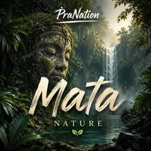 Barulhos da Mata (Chill Organic)