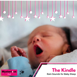 Spheroidal Boiling Bubbles