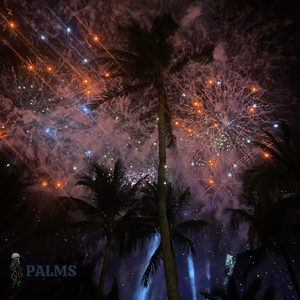 Palms (Extended Mix)