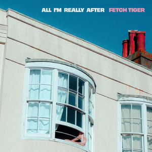 All I'm Really After