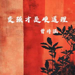 变强才是硬道理 (DJ阿能版)