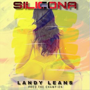 Silicona
