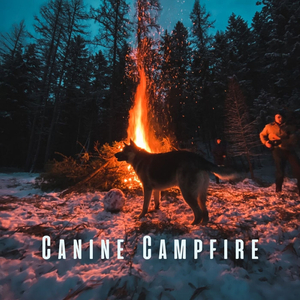 Dog's Cozy Campfire Symphony