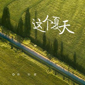 这个夏天