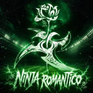 Ninja Romantico