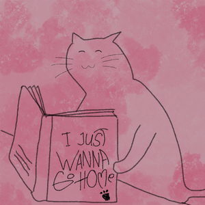 I Just Wanna Go Home