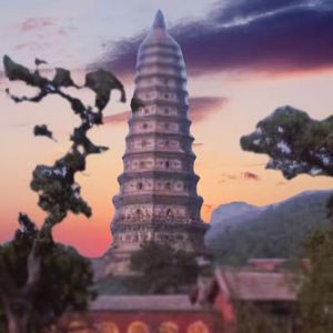 根