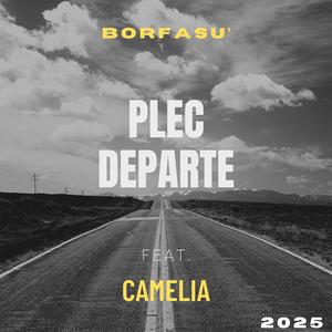 Plec Departe (feat. Camelia)