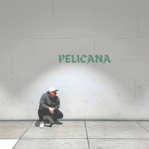Pelicana
