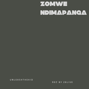 Zomwe Ndimapanga