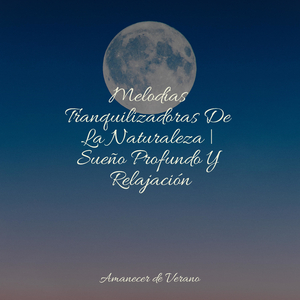 Camino de Feliz Vagabundeo