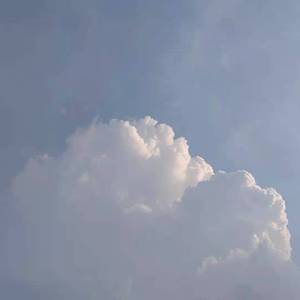 为你我受冷风吹