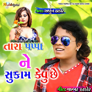 Tara Pappa Ne Su Kam Kevu Chhe