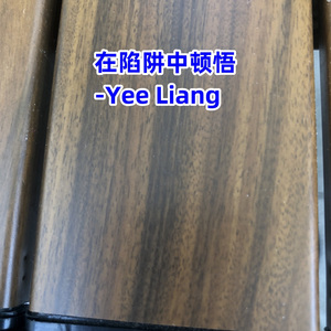 跳进陷阱（库尔德语）