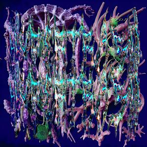 Intelligent Design (feat. Tommysarng & kìkí Yågø)