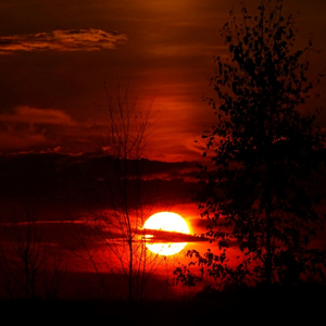 окровавленный закат